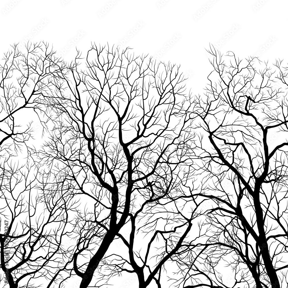 Fototapeta premium Bare tree seamless border. Digital drawing: line art. Backdrop endless rapport for packaging, scrapbooking, textiles, decoupage paper. 