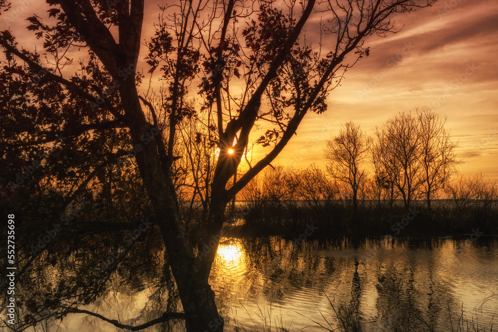 Sunset at Lake Apopka with Trees Reflected in the Water Sunset at Lake Apopka with Trees Reflected in the Water