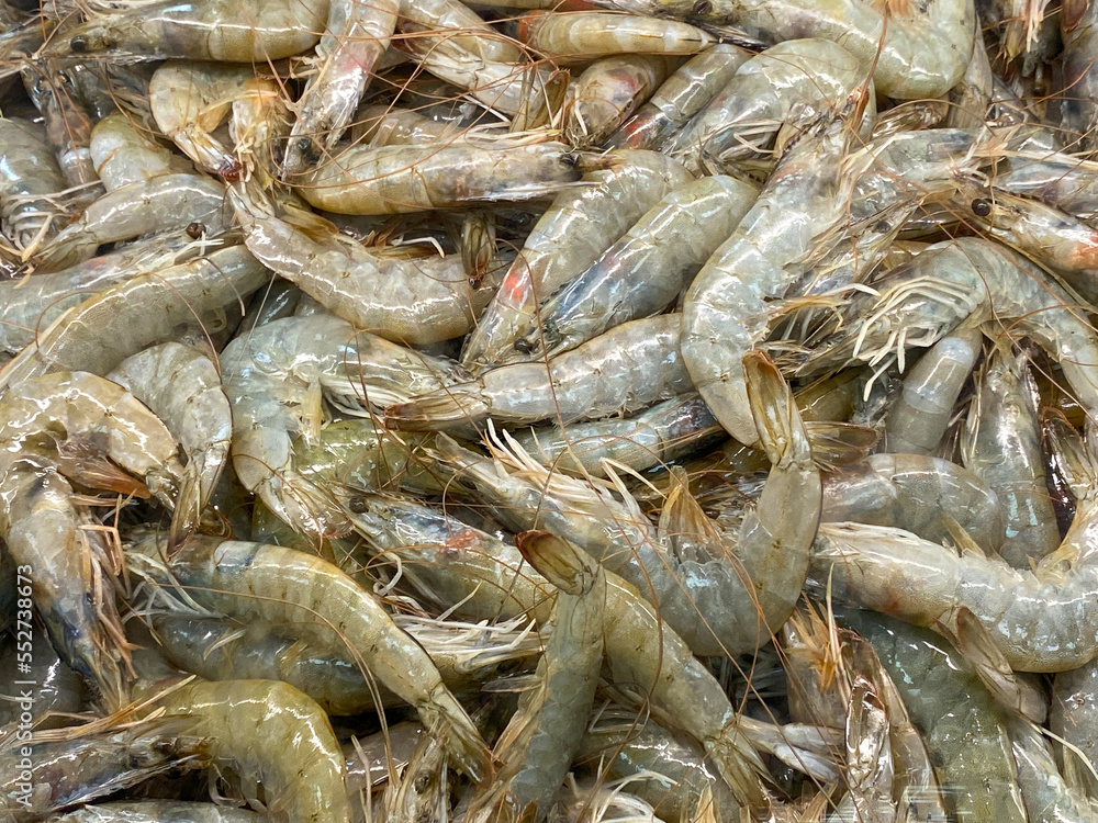 Raw and gray fresh shrimp at the supermarket with shell and tail Raw and gray fresh shrimp at the supermarket with shell and tail