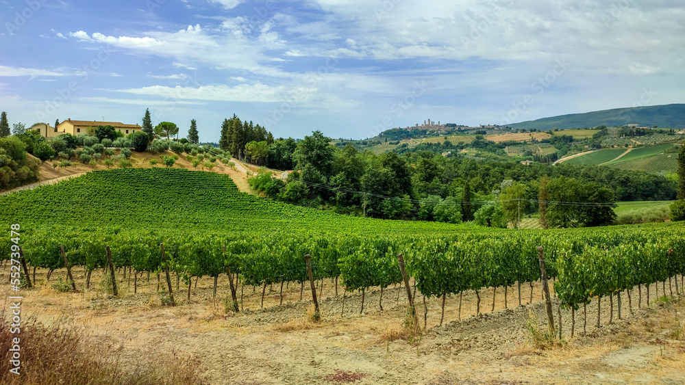 Fototapeta premium Tuscany Italy