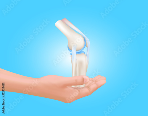 Hand holding knee joint with healthy cartilage front on blue background with copy space for text. Bone human skeleton anatomy of the body. Medical health care science concept. Realistic Vector