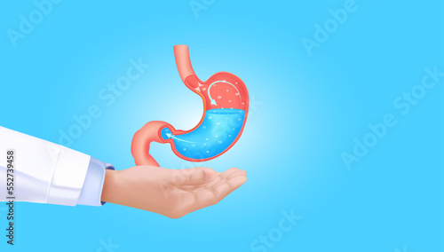 Doctor hand holding healthy stomach isolated on blue background with space for text. Medical and healthy food concept. 3D vector.