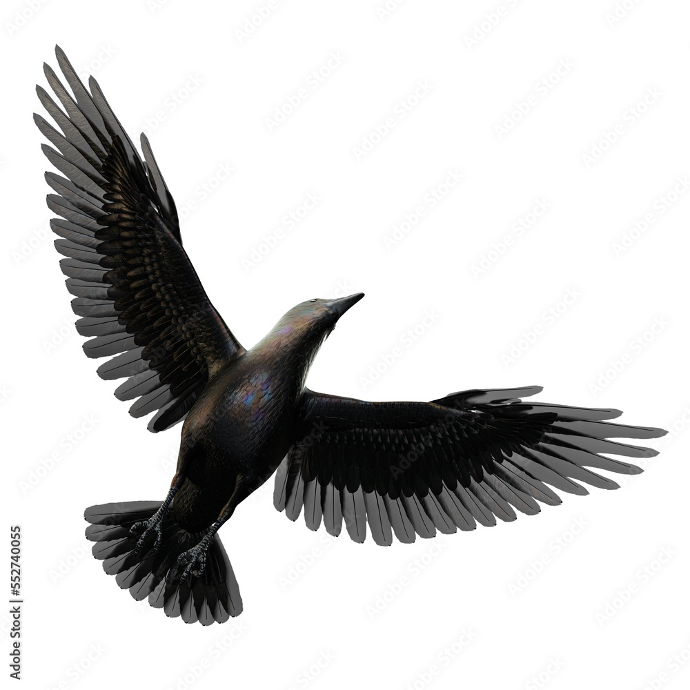 Fototapeta premium Iridescent black crow isolated on a white background, 3D Illustration, 3D Rendering