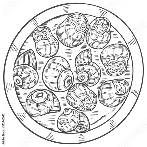 escargots france food cuisine isolated doodle hand drawn sketch with outline style