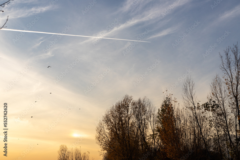 Beautiful sunset over a trees silhouette with traces of an airplane passing fly in the sky Beautiful sunset over a trees silhouette with traces of an airplane passing fly in the sky