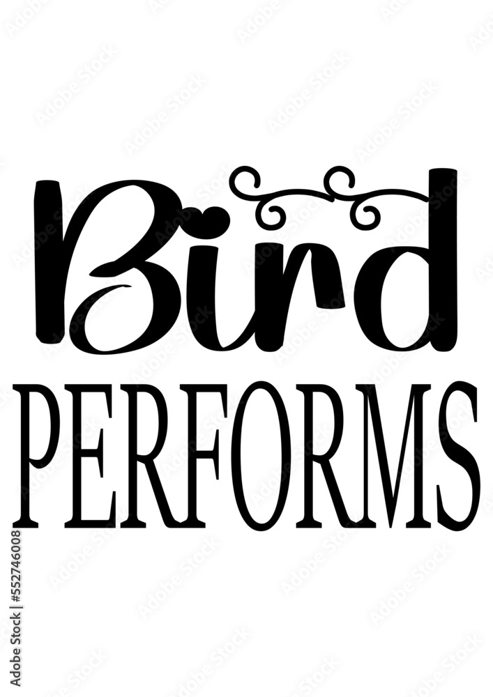 bird performs bird performs
