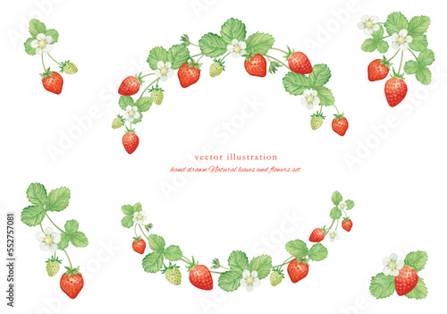 水彩で描いたイチゴのサークルフレーム