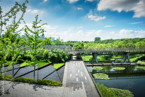 Canvas Print Path and nice city park with green trees in spring