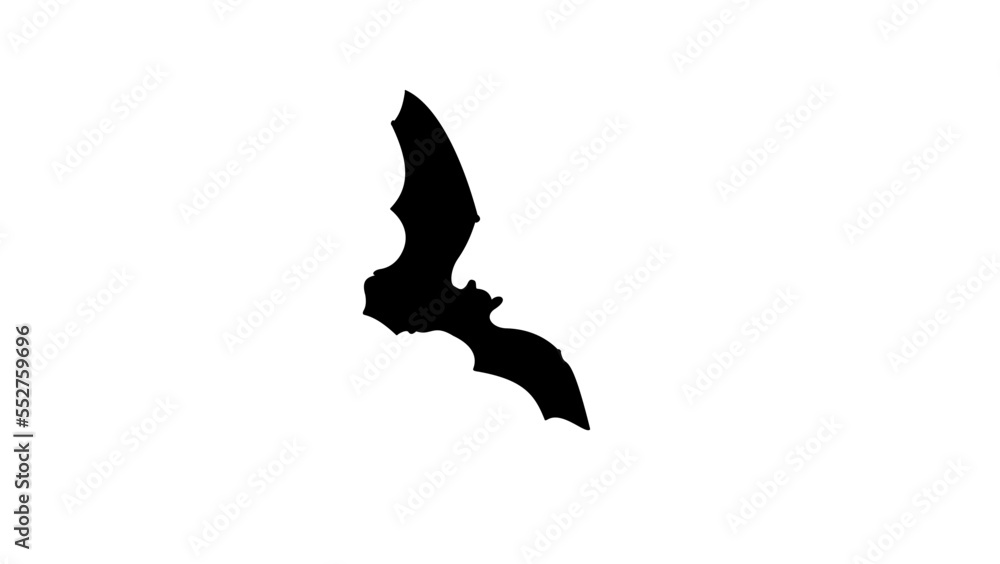 bat silhouette bat silhouette