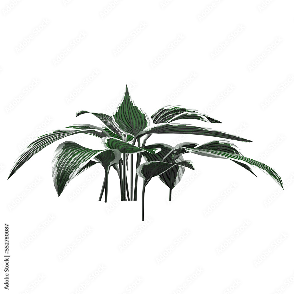Generic Plant Tree PNG rendered in 4K Resolution for compositing and Background. With transparency alpha channel. 8K based in 3d model. Generic Plant Tree PNG rendered in 4K Resolution for compositing and Background. With transparency alpha channel. 8K based in 3d model.
