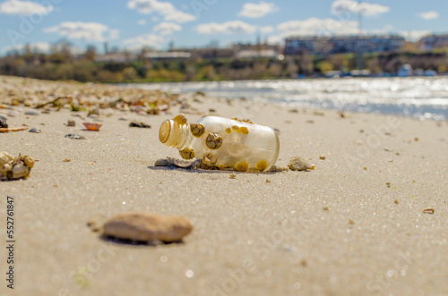 Bottle covered with shells on the beach photo