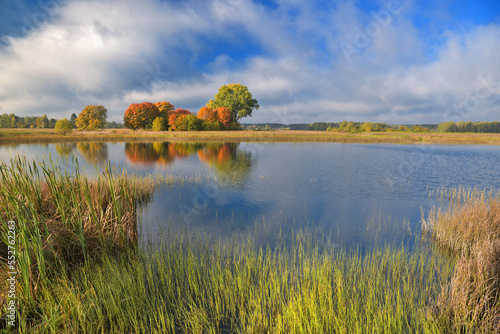 autumn landscape with lake and trees