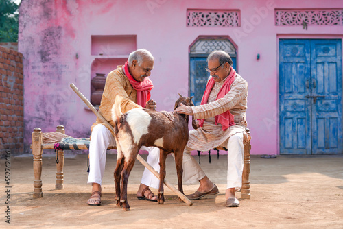 Indian villagers talking of goat farming out of home.