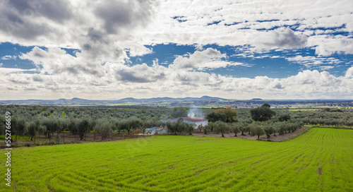 Mirandilla outskirts, Badajoz, Spain photo