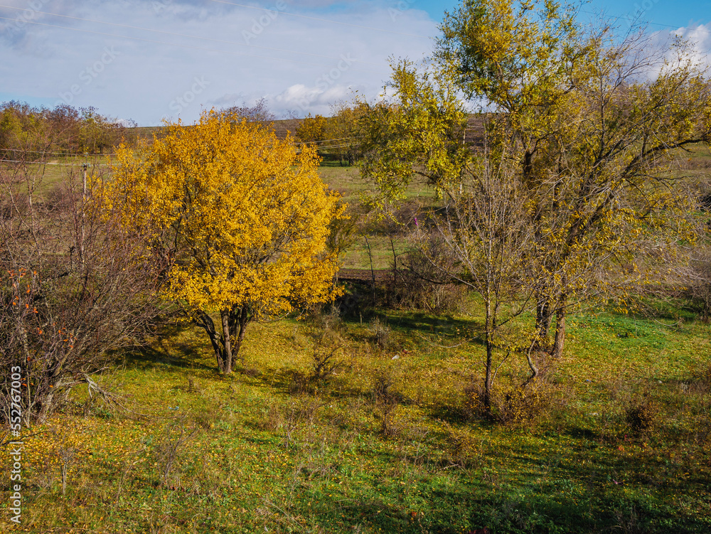 autumn in the park