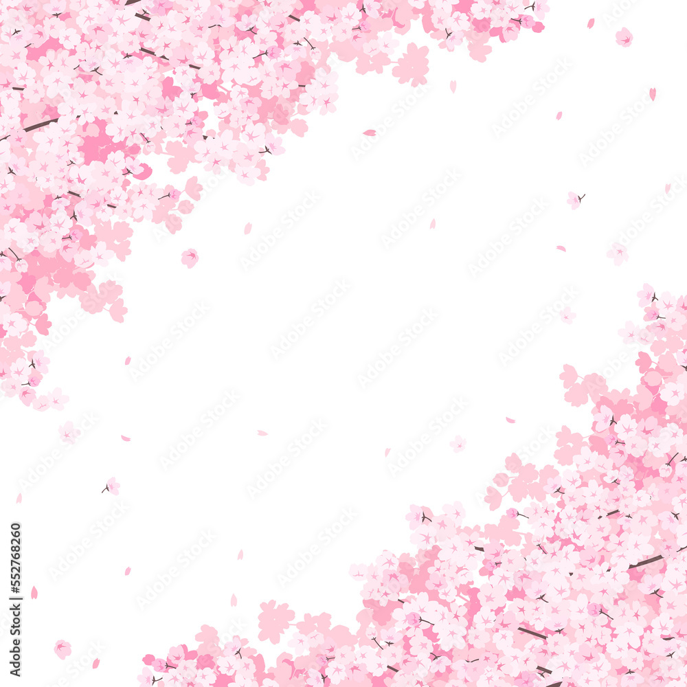 満開の桜　フレーム・背景素材（正方形）