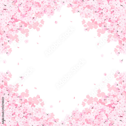 満開の桜　フレーム・背景素材（正方形） © Katie（カチエ）