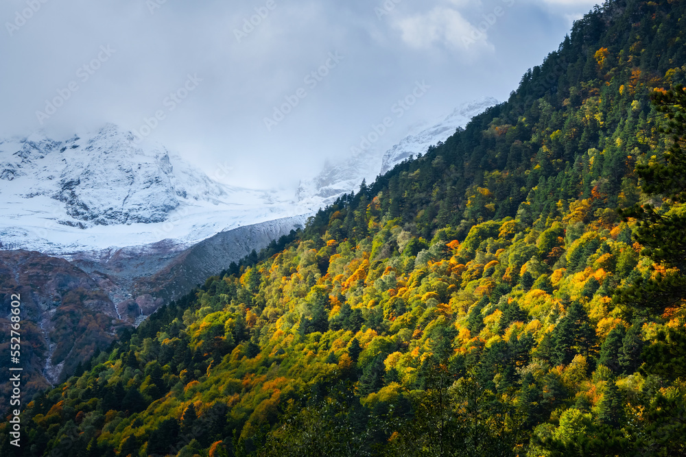 Mountain wooden slopes are illuminated by the sun. Bright alpine scenery with diagonal great mountain ridge coniferous forest and high snow rocks under cloudy sky.