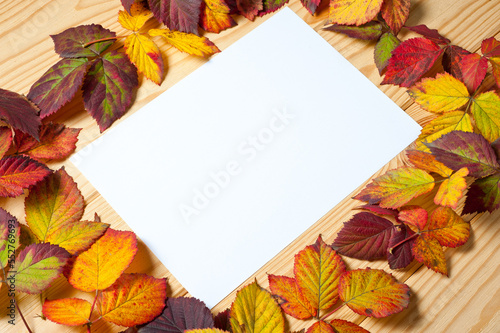 A white sheet of paper surrounded by bright autumn tree leaves lying on a wooden surface.