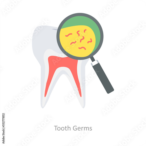 Tooth Germs