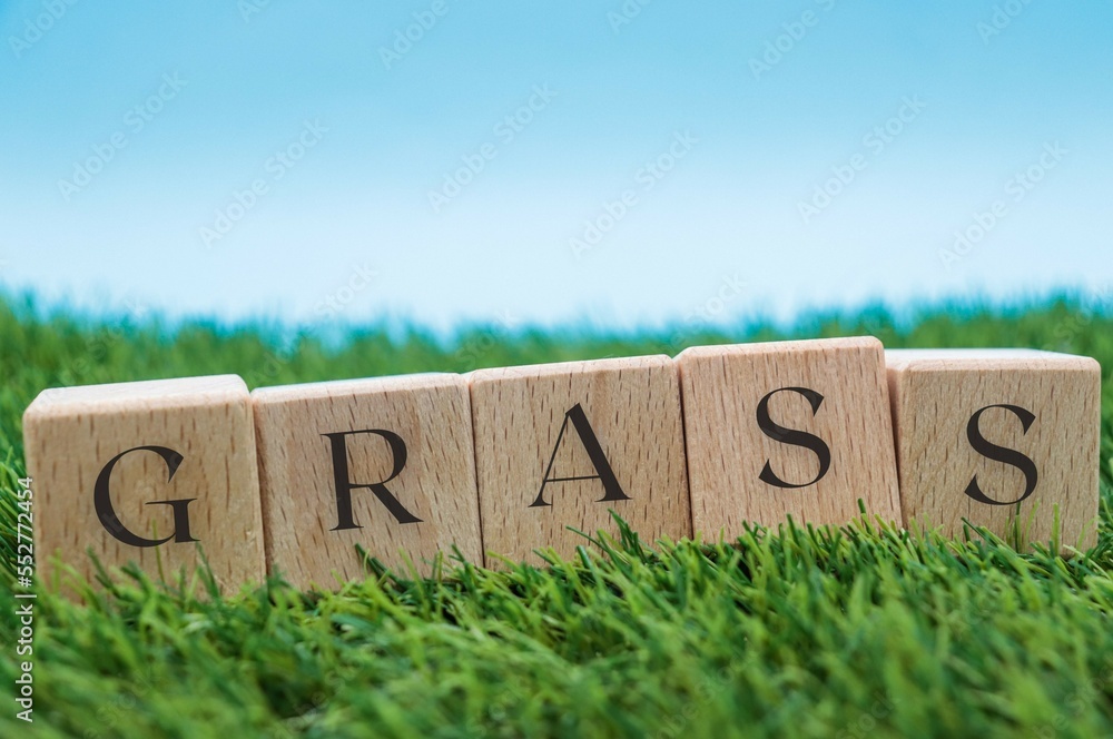 © PHalexaviles - The word grass written in wooden cube blocks on artificial grass and blue background. With copy space © PHalexaviles - The word grass written in wooden cube blocks on artificial grass and blue background. With copy space