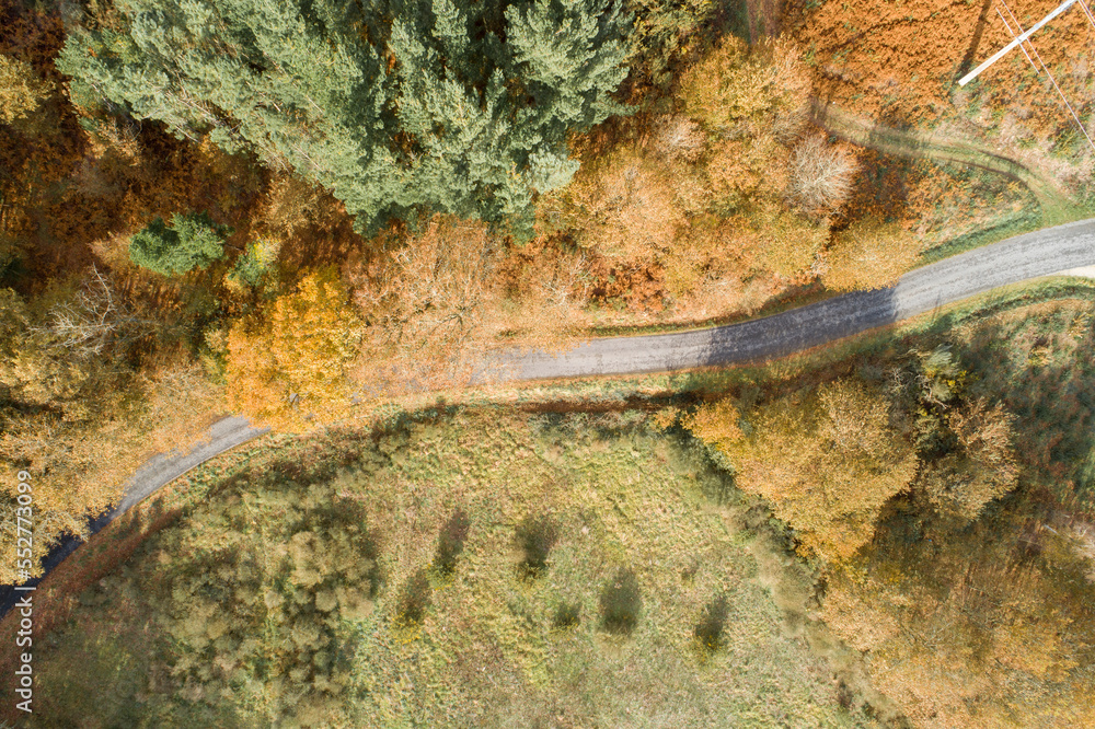 aerial view of a road and a forest in the fall, autumn colors aerial view of a road and a forest in the fall, autumn colors