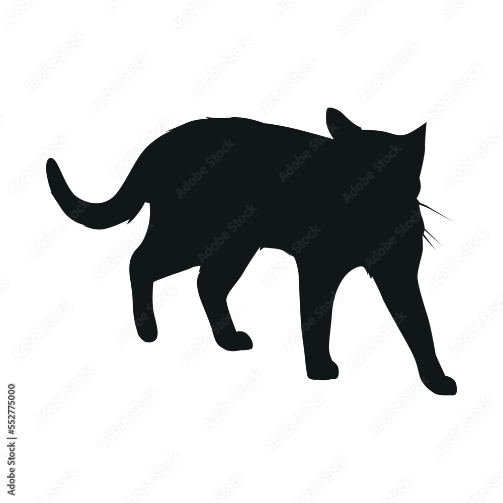 Obraz premium Cat Silhouette
