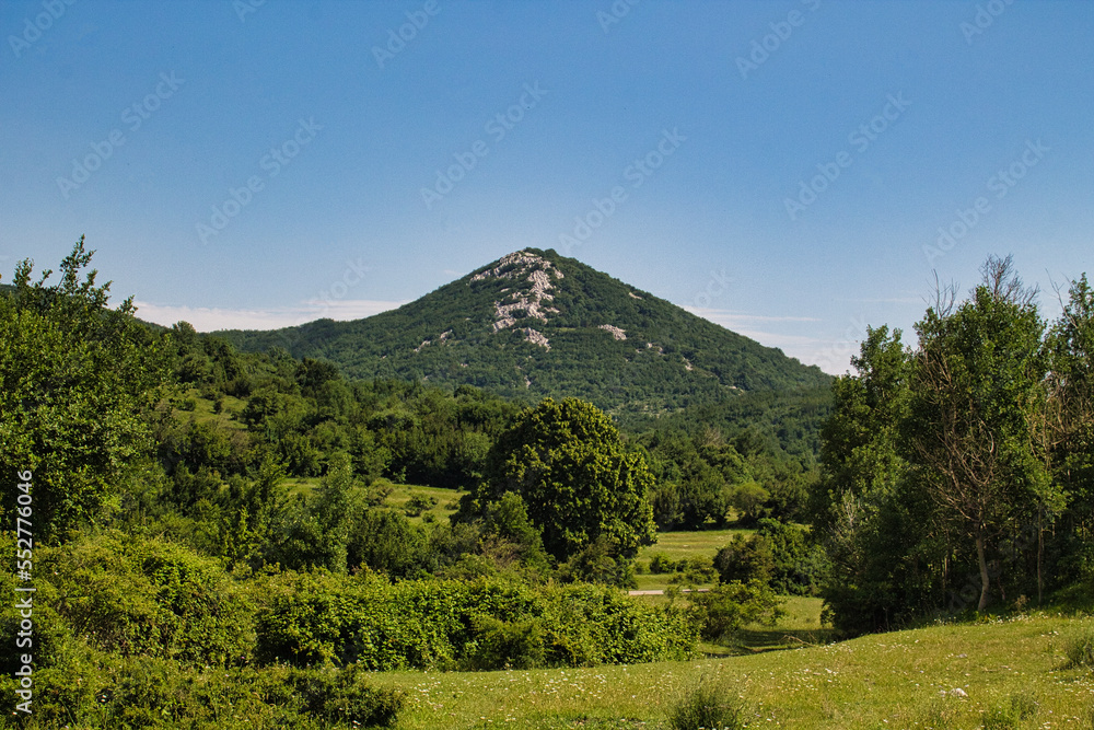 landscape with trees and mountain landscape with trees and mountain
