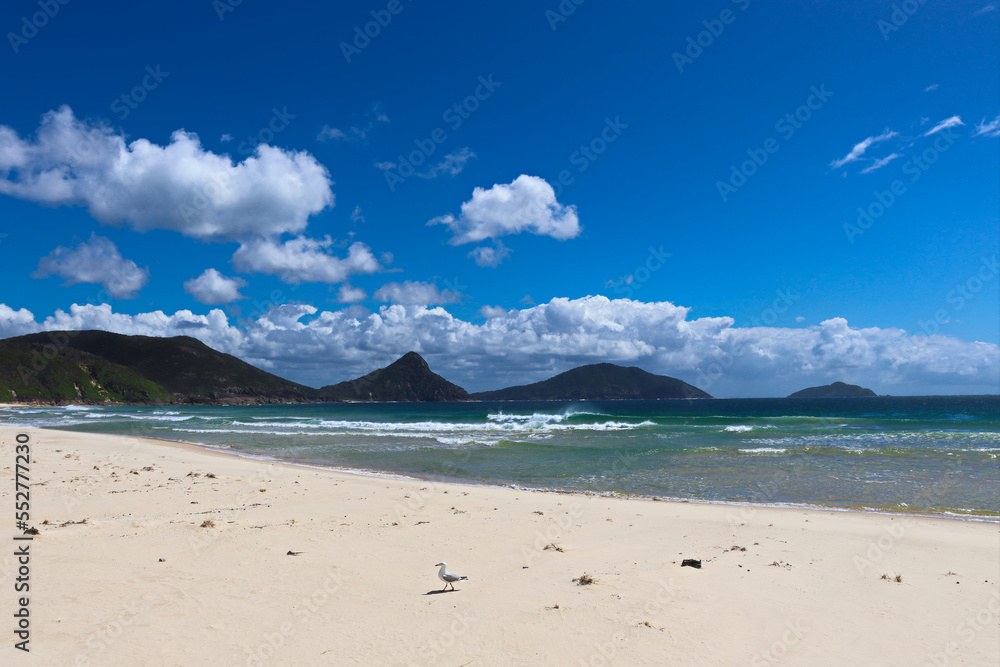 View toward Tomaree Mountain in Port Stephens, taken from the Fingal Spit on a sunny blue sky day View toward Tomaree Mountain in Port Stephens, taken from the Fingal Spit on a sunny blue sky day
