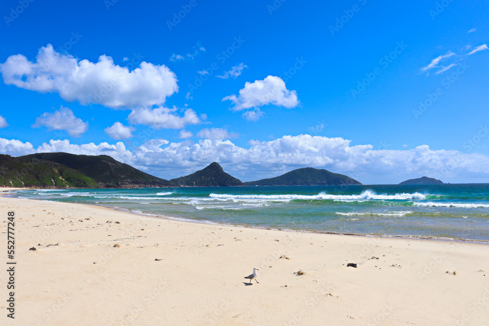 View toward Tomaree Mountain in Port Stephens, taken from the Fingal Spit on a sunny blue sky day