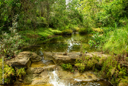 A scenic view of calm creek