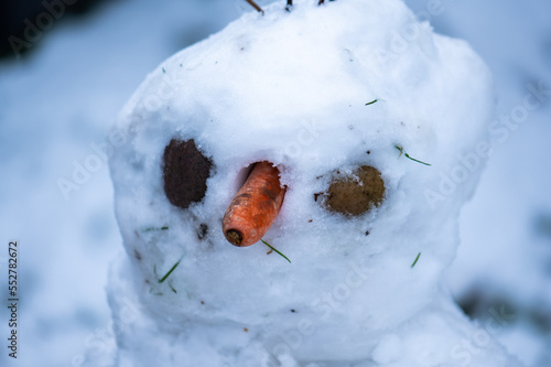 Snowman in garden, carrot for nose © jason