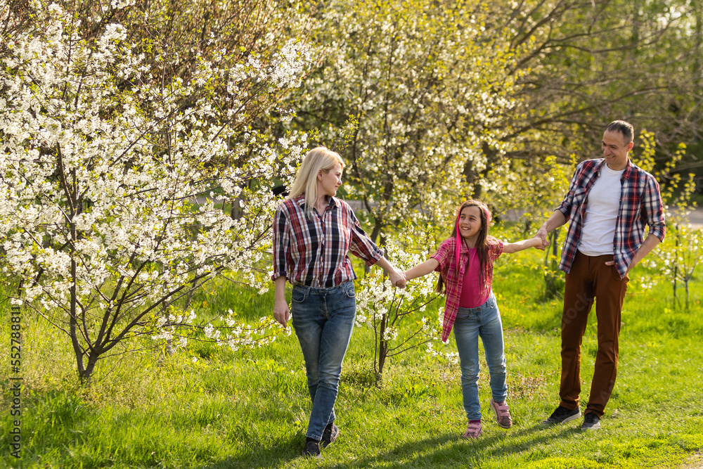 family walk the cherry trees