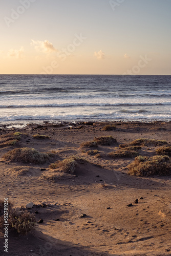 Sunrise on the beach. Desert landscape. Waves break against the coast of sand and rocks. Clear sky. Sand dunes and desert vegetation. El Medano, Tenerife, Canary Islands, Spain.