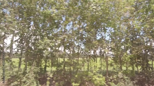 Campo em movimento
