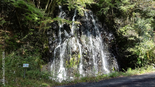 黒滝　静岡県賀茂郡西伊豆町