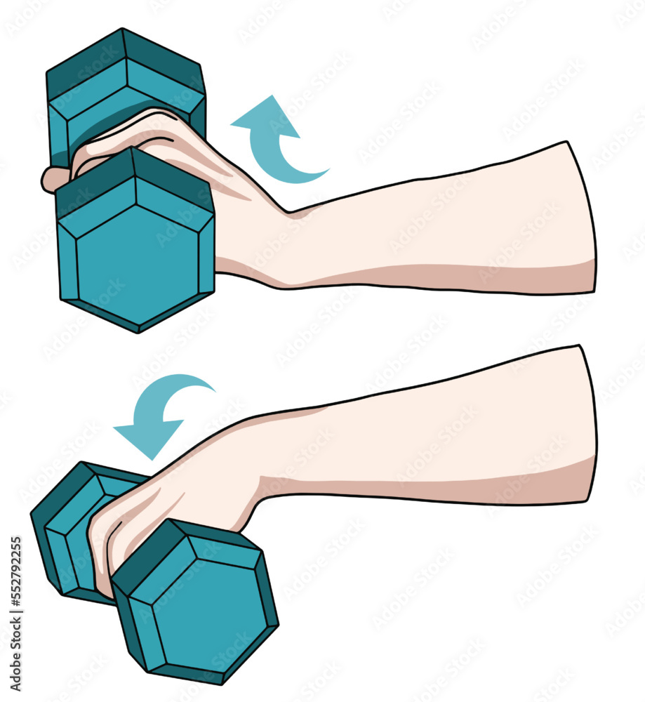Wrist joint rehabilitation exercises. Vector illustration. Exercise 7 Wrist joint rehabilitation exercises. Vector illustration. Exercise 7