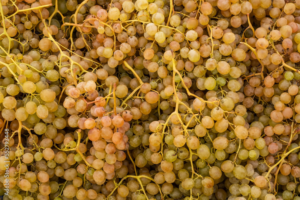  Grape in the bazaar sall. sale, shopping and eco food concept. 