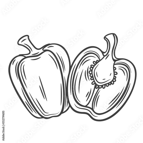Whole bell pepper and cut in half line icon vector illustration. Hand drawn outline slice of paprika and whole vegetable, sliced vegetarian food ingredient with seeds and stem, capsicum pepper