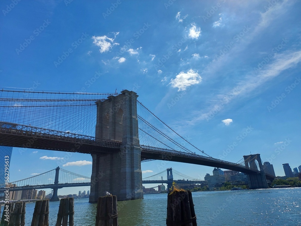 View of Brooklyn Bridge in the summer - obrazy, fototapety, plakaty 