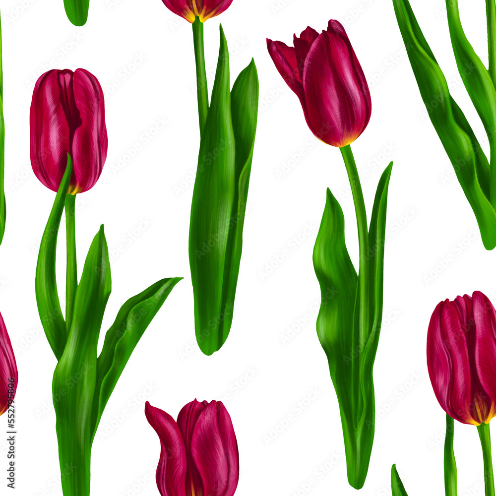 Obraz premium seamless pattern with drawing red tulip flowers with green leaves at white background , hand drawn botanical illustration