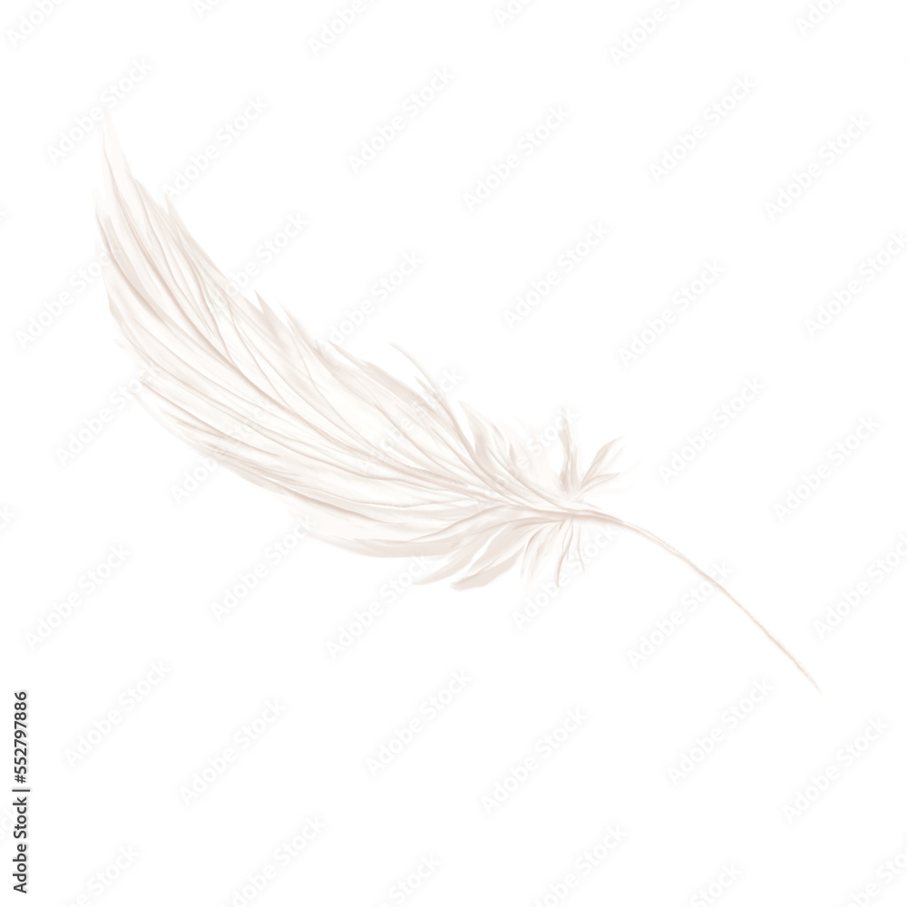 Obraz premium feather2