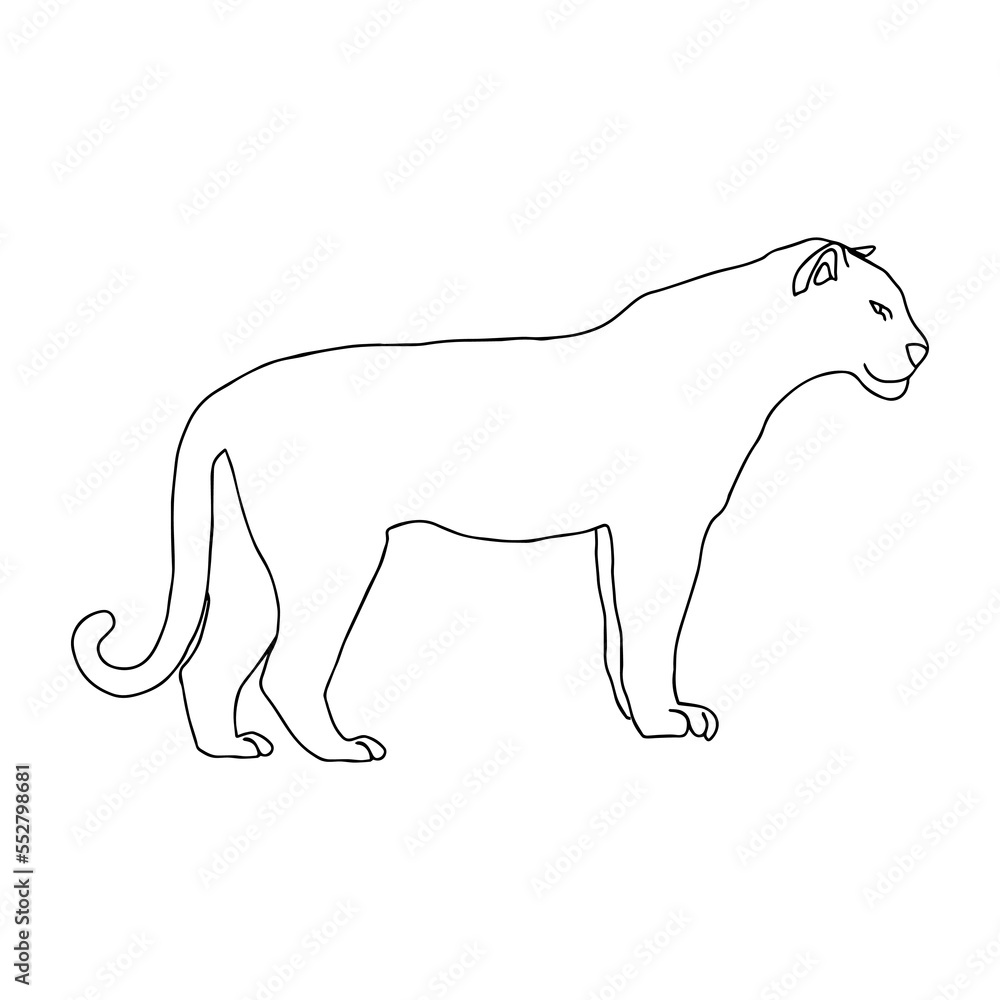 Tiger or panther simple continuous line art drawing. One line. Hand-drawn modern vector minimalist illustration isolated on white. For greeting cards, children colouring book and seasonal design.