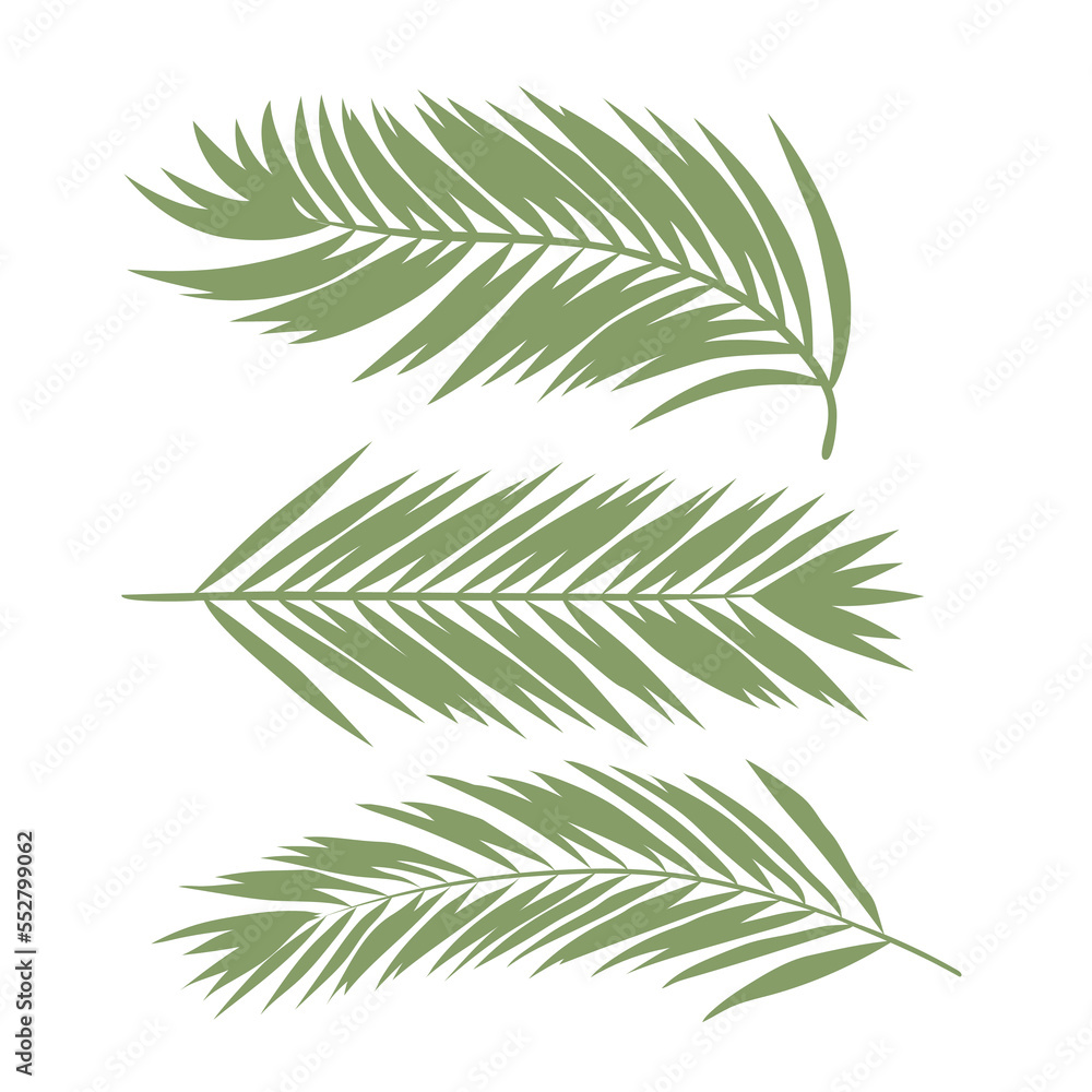 hand drawn tropical leaf color illustration hand drawn tropical leaf color illustration
