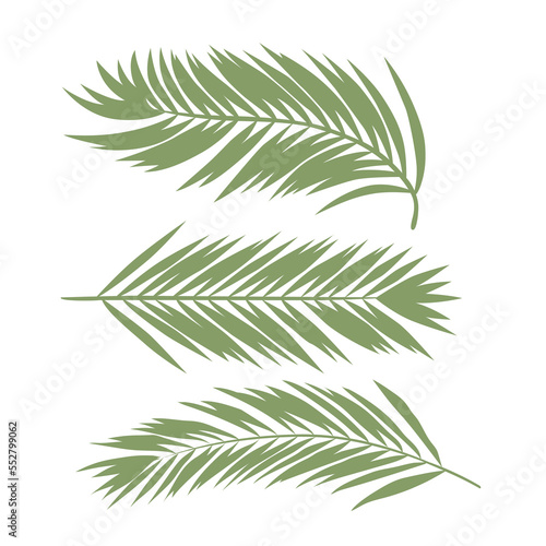 hand drawn tropical leaf color illustration