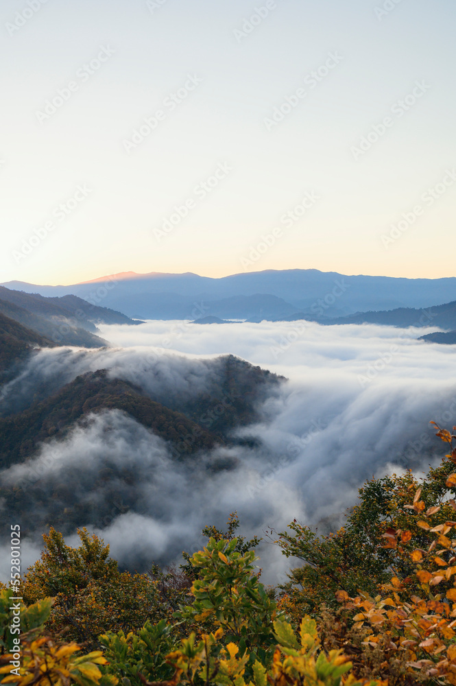 新潟　日の出前の枝折峠と滝雲