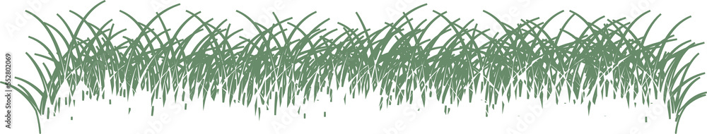 Grass. Grass field natural Grass. Grass field natural