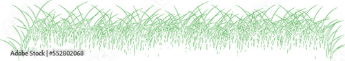 Grass. Grass field natural