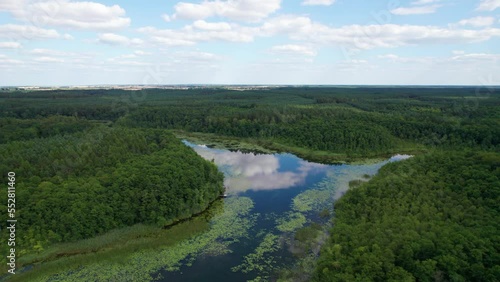 Reflection of trees in the lake - Lake in Poland