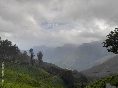 munnar 